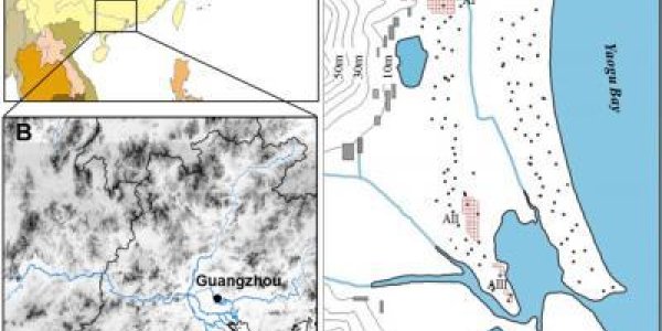 Agriculture May Have Been In Xincun China 5,000 Years Ago