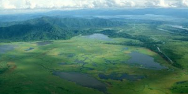 Conservation Discovery: Plant Eating Insects Travel A Lot