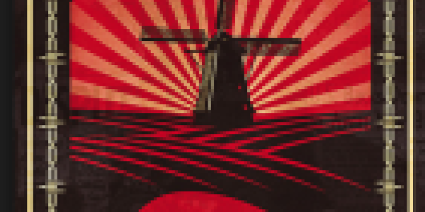 Xenotransplantation 2015: Pig To Primate Transplant Works