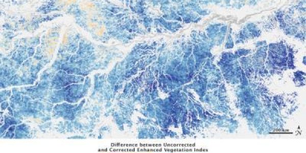 Amazon Greening In Drier Weather: What's Going On?