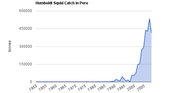 Peru's Mountain Of Humboldt Squid