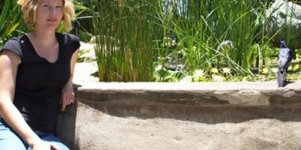 Bird Intelligence May Be More Fact Than Fiction