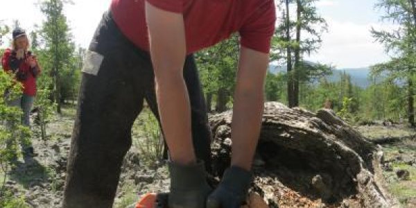 Genghis Khan Benefited From Climate Change