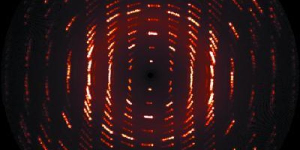 How To Understand A Pharmaceutical Label