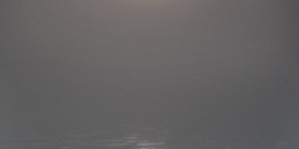 Arctic Ocean Ecosystem Analysis Shows Thinner Ice