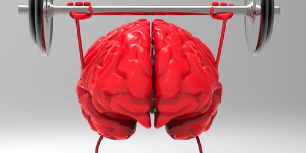 Do Brain Training Programs Work?