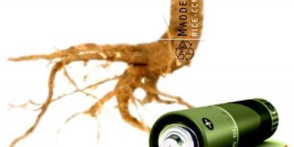 Rose Madder: 'Green' Battery From Ancient Red Dye Plant?