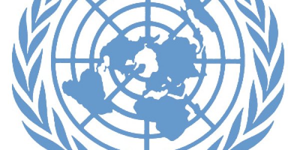 The UN and The Environment