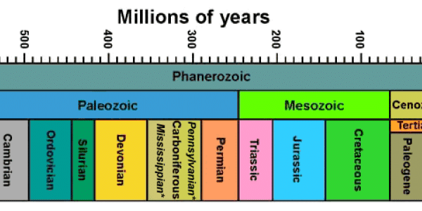 What Extinction Can Teach Us