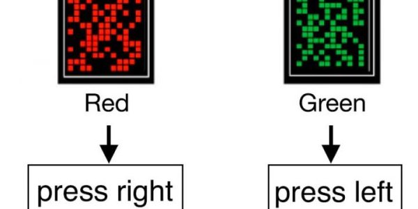 Sometimes Attention Is The Deficit