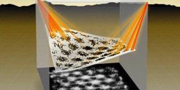 How The Brain’s Internal Maps Are Linked To The External World