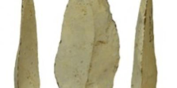 Efficient Hunting Gets More Ancient: Stone-Tipped Weapons Were Used 500,000 Years Ago