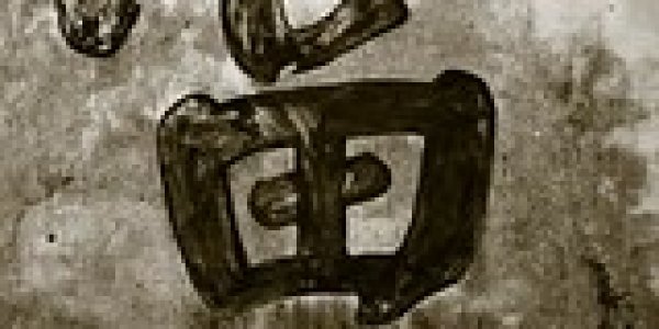 Unearthing Mongolia: Gigantoraptor Erlianensis