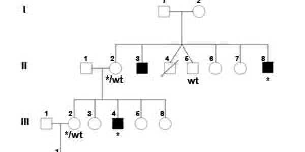 Nine New X Chromosome Genes Associated With Learning Disabilities