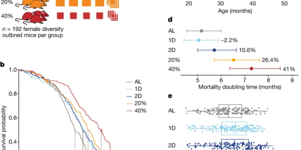 Another Week, Another Claim About Caloric Restriction Being Science