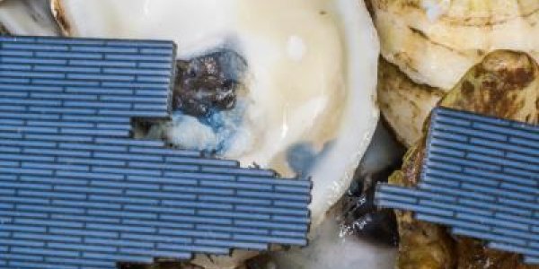 Toward Metamaterials: Printing Artificial Bone