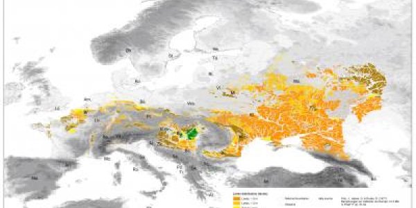 Loess Sediments: New High Resolution Map Shows Europe's Best Soil