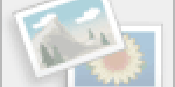 schematics on fake eyes