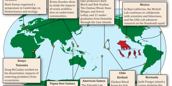 Squid Sneaks Into Newsletter