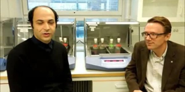 Thermotolerant Yeast Can Provide More Climate-smart Ethanol