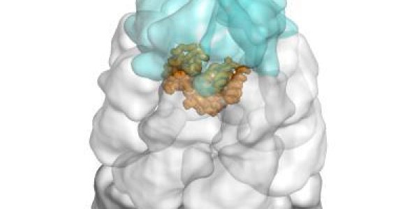 The Molecular High-Speed Origami Of Protein Folding