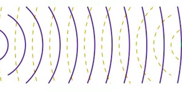 Weekend Science: Learn To Echolocate Like A Bat
