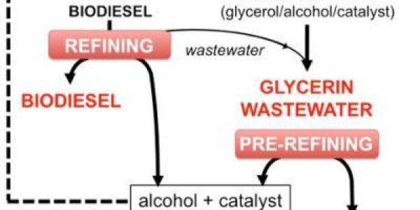 Fuel Cells: Can Microbes Make Biodiesel Sustainable?