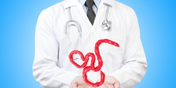 Ebola Transmission Via Public Transport