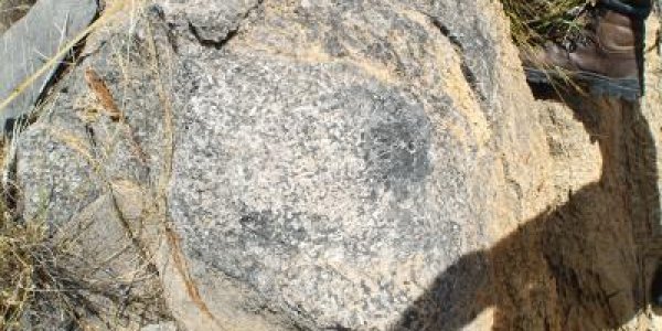 Cloudina: Animals Were Building Reefs 550 Million Years Ago