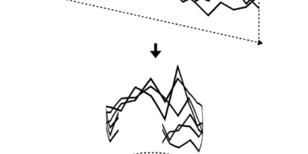 "Trend" of the Stock Market