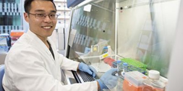 When Remodeling Is Destruction: How Cartilage Contributes To Arthritis