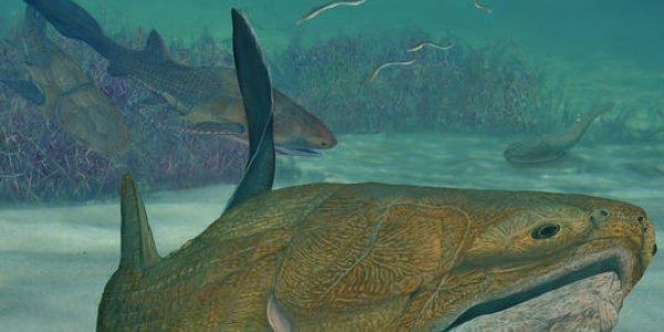 419 Million Year Old Entelognathus Had A Cool Face