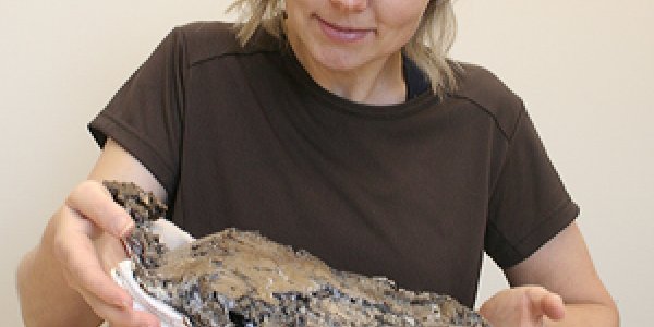 Badlands Fossil Discovery - First Prehistoric Pregnant Turtle (And Some Eggs)