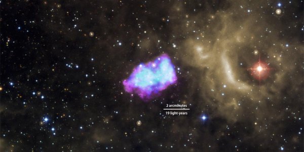 Supernova Crime Scene - The White Dwarf Did It