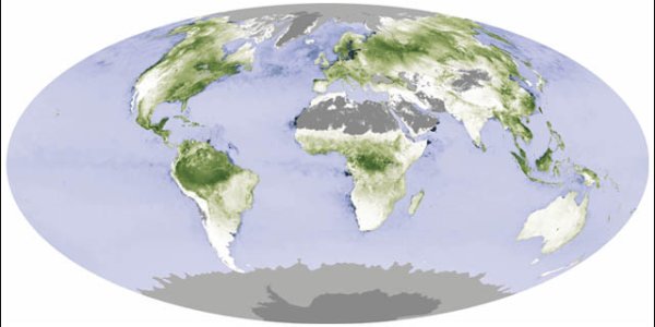 Where Does The CO2 Go?  The Mystery Of The Missing Sinks