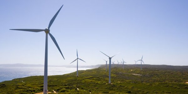 Environmental Activism Is Good For Business