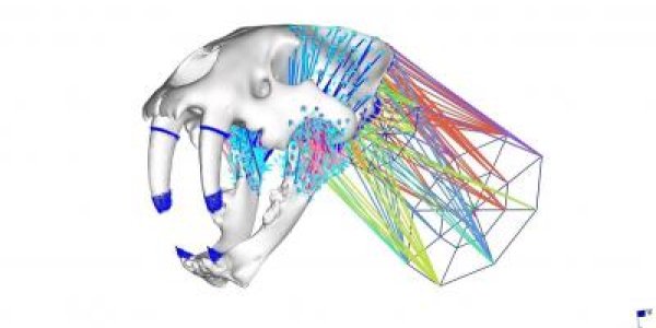 Saber-Toothed Tiger More Like A Pussycat