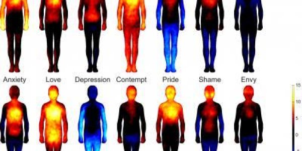 Mapping Emotions In The Body - Online, Using Colors