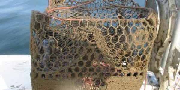 Ghost Fishing: How To Prevent Lost Traps