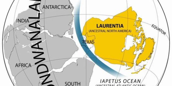 Cambrian Explosion: Geography May Have Triggered Increase In Animal Life