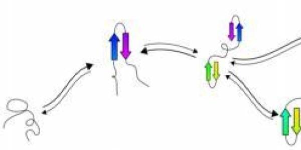 TFolder - Protein Folding Gets Easier