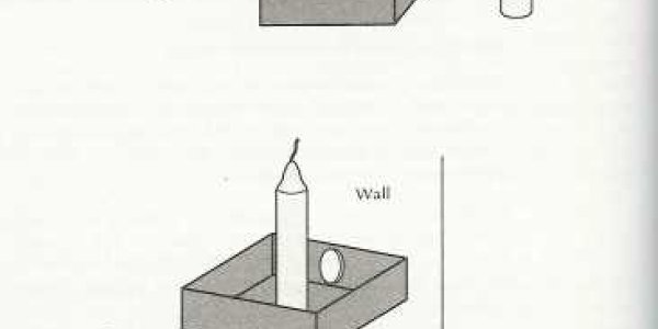 We Perform Best When No One Tells Us What To Do