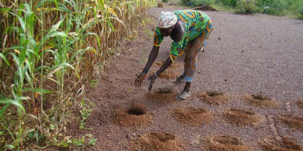 Africa Will Feed Itself Within The Next 15 Years