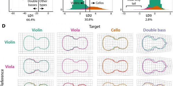 What The Evolution Of Violins And Plants Have In Common