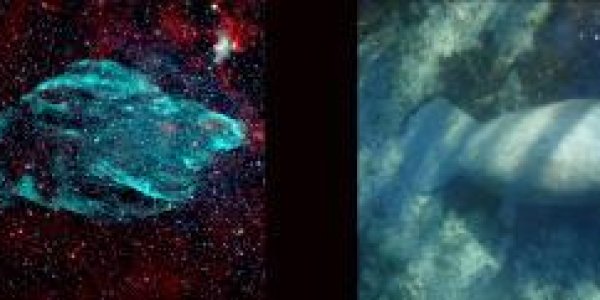 SS433 Microquasar Impact On W50 Supernova Bubble