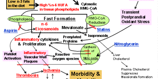 Your Food Allergies Are Making You Fat