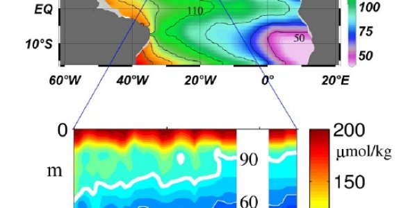 The Decline In Ocean Oxygen