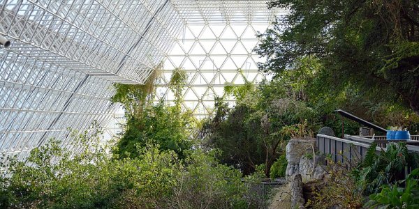 Could Astronauts Get All Their Oxygen From Algae Or Plants? And Their Food Also?