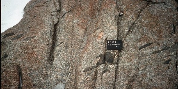 Magma Chambers Part II: Magma Mushes