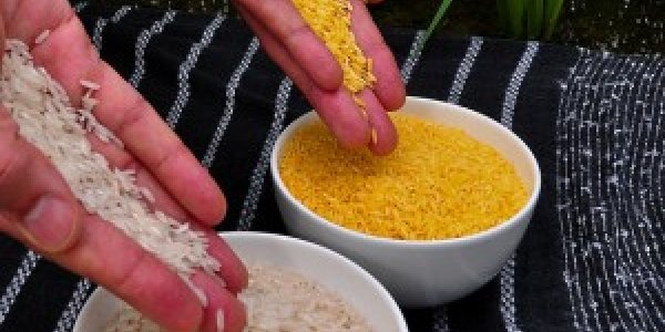 Biofortification: The New ‘Green Revolution’ Of Genetically Engineered, More Nutritious Crops